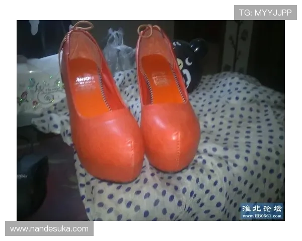 凯发体育的网址官方入口，提供最全面的登录指南与最新链接