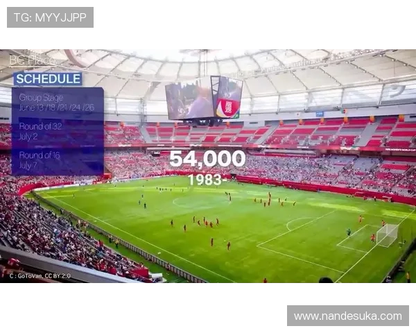 2026年世界杯举办城市及场馆分布情况全面解读